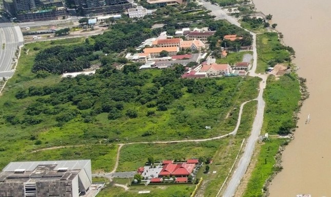 L&agrave;m 'C&aacute;nh đồng hoa hướng dương' khoảng 6.000m2 ở ven s&ocirc;ng S&agrave;i G&ograve;n - Ảnh 1.