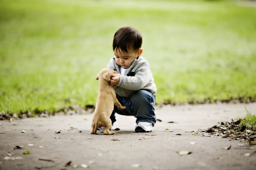 5 lợi ích khi trẻ nuôi thú cưng - Ảnh 3.