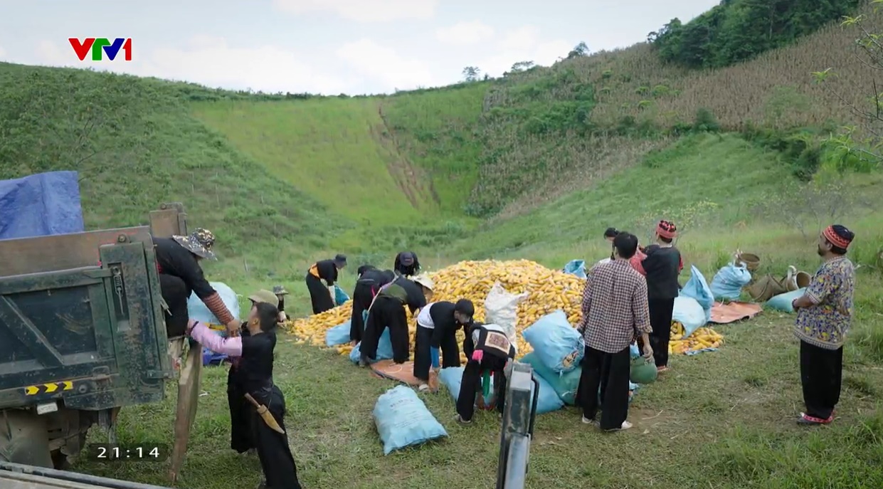 Cuộc chiến không giới tuyến - Tập 39: Đồn phó Quang hy sinh trong trận đánh cuối cùng - Ảnh 5.