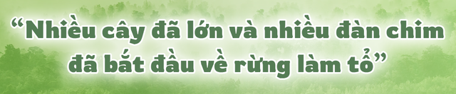 Chàng trai vừa làm BTV xoàng ở Hà Nội vừa trồng triệu cây xanh: Bố mắng sa sả; nhìn cây mà khóc! - Ảnh 12.