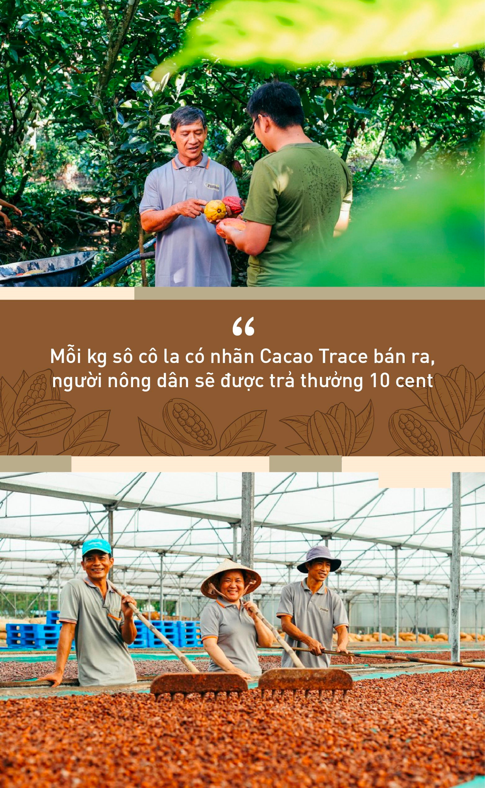 Puratos và hành trình Cacao Trace: “Một thanh sô cô la sẽ kém hấp dẫn nếu người dùng biết được đằng sau đó là giọt nước mắt của người nông dân” - Ảnh 2.