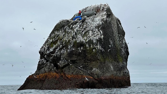 Đảo Rockall, nơi hoang vắng và tuyệt vọng nhất thế giới - Ảnh 3.