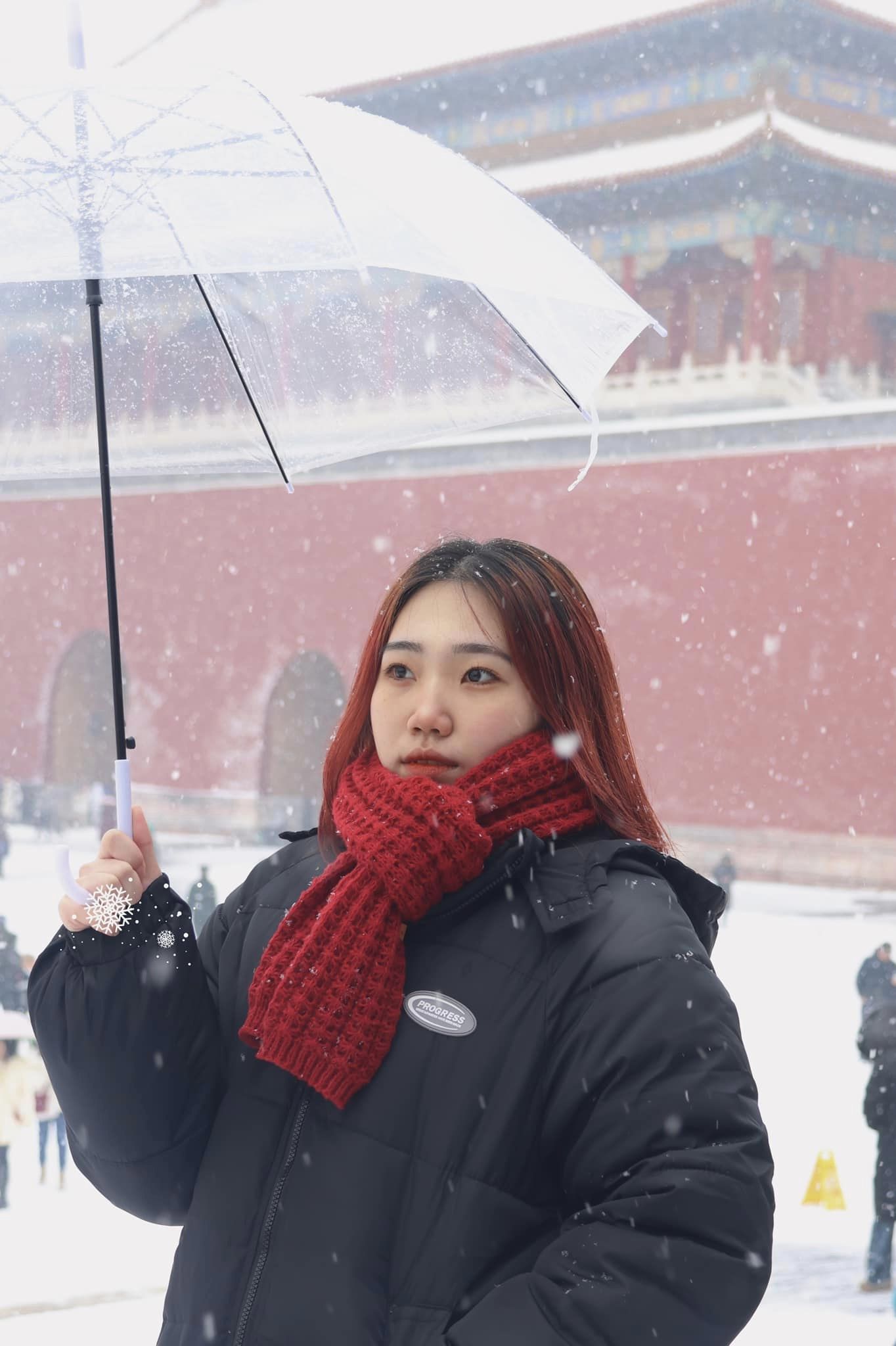 Du khách Việt may mắn được &quot;săn&quot; tuyết rơi đầu mùa đẹp như phim ở Tử Cấm Thành (Trung Quốc)- Ảnh 9.