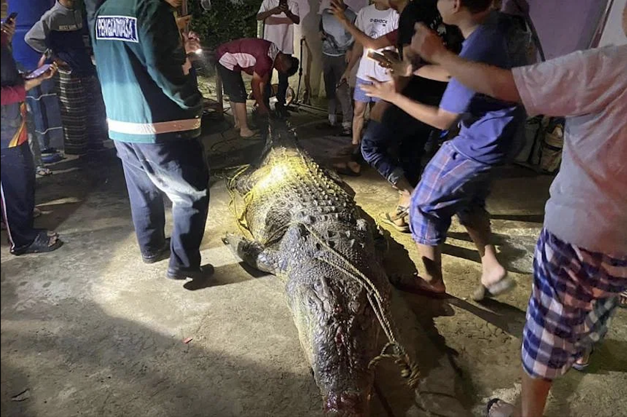 Cá sấu &quot;quái vật&quot; liên tiếp xuất hiện ở Malaysia- Ảnh 1.