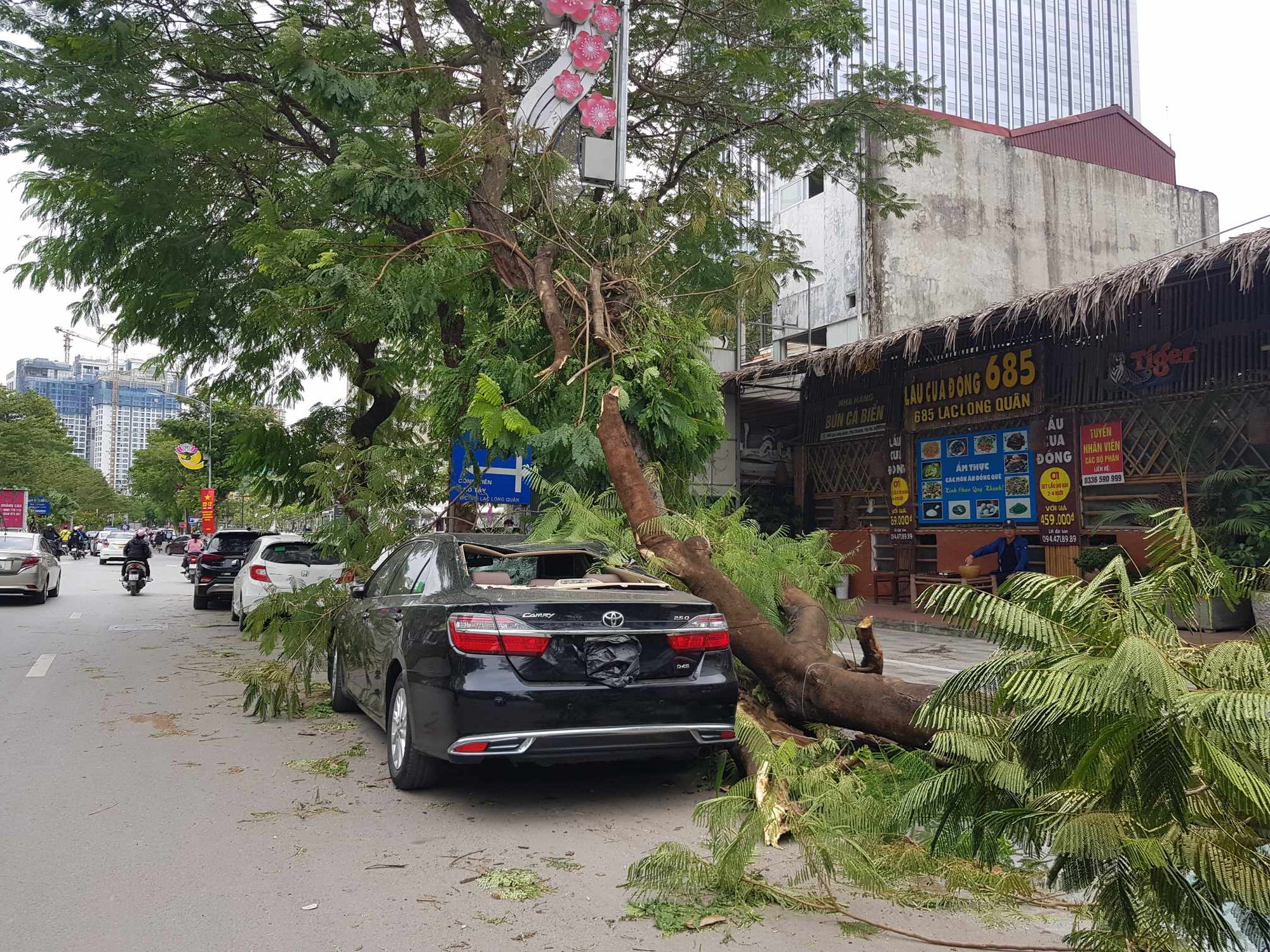 Gió mùa đông bắc mạnh làm cây gãy đổ đè bẹp ôtô Camry 2.5Q- Ảnh 2.