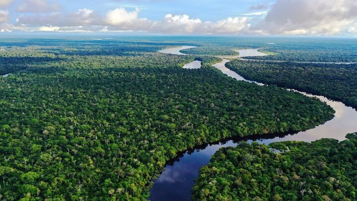 Sông Amazon lớn, dài nhất thế giới nhưng lại không có cây cầu nào bắc qua - Ảnh 3.
