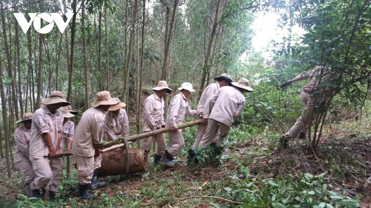 Người dân đào đất phát hiện 3 quả bom lớn gần trường học, khu dân cư - Ảnh 2.