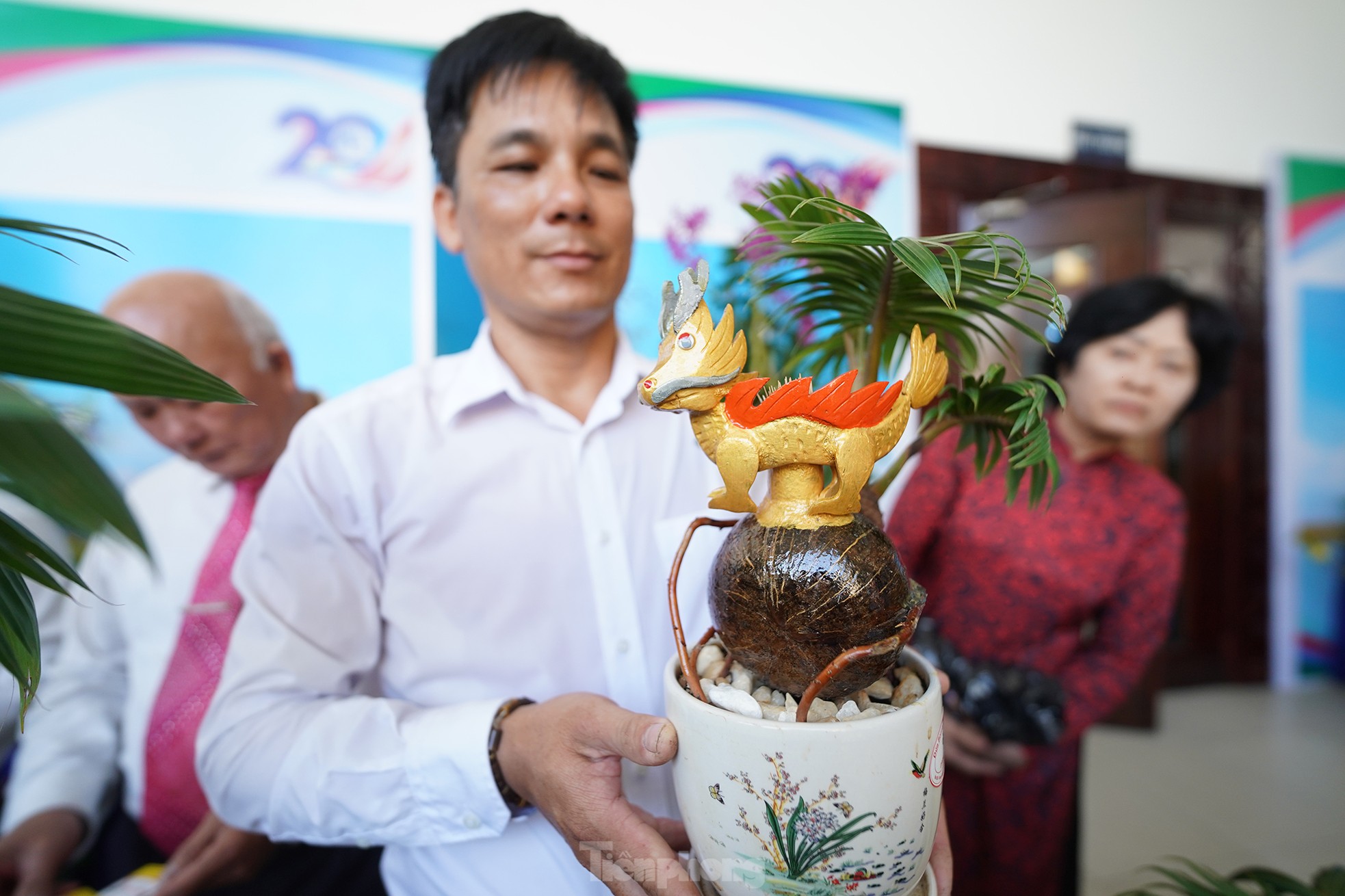 TPHCM: Độc đáo bonsai dừa ở Bình Chánh - Ảnh 3.