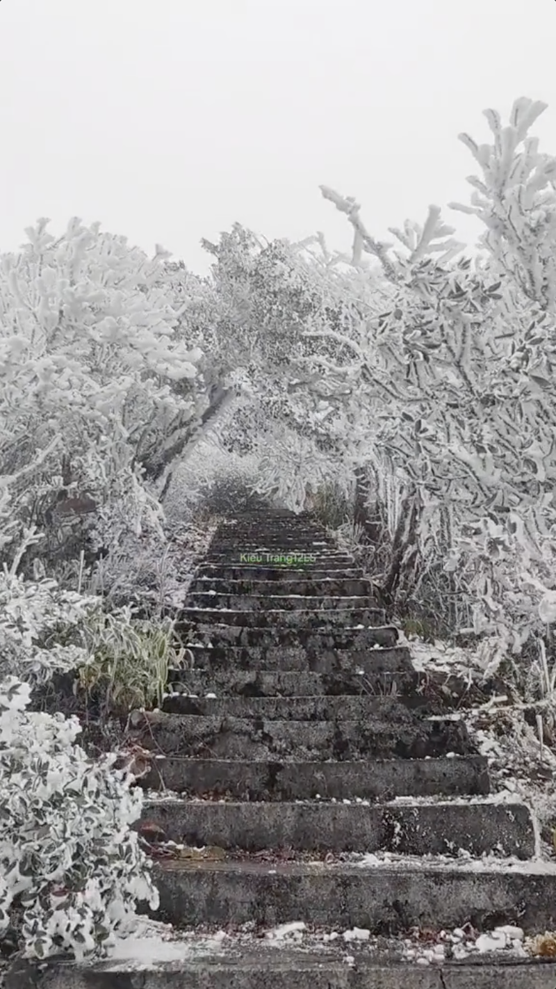 Con đường băng tuyết trắng xoá ngay tại Việt Nam khiến nhiều người bất ngờ, lập tức 