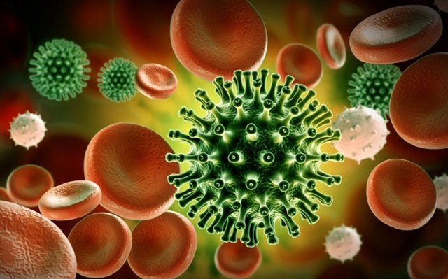 Ghi nhận biến thể JN.1 của virus SARS-CoV-2 gia tăng trên toàn cầu - Ảnh 1.