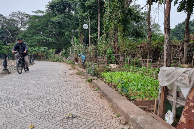 Hà Nội: Công viên mới được đầu tư hơn chục tỷ để tu bổ trở thành nơi đổ rác, trồng rau - Ảnh 5.