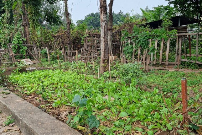 Hà Nội: Công viên mới được đầu tư hơn chục tỷ để tu bổ trở thành nơi đổ rác, trồng rau - Ảnh 6.