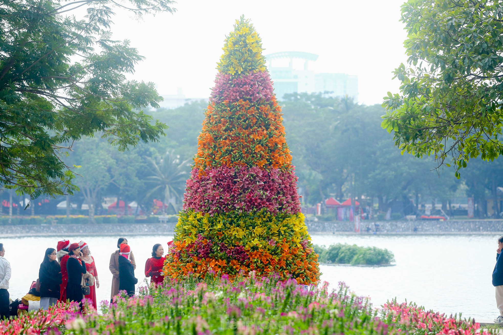 Cận cảnh cây thông Noel &quot;độc nhất&quot; làm từ 2.000 cành hoa ly ở Hà Nội - Ảnh 13.