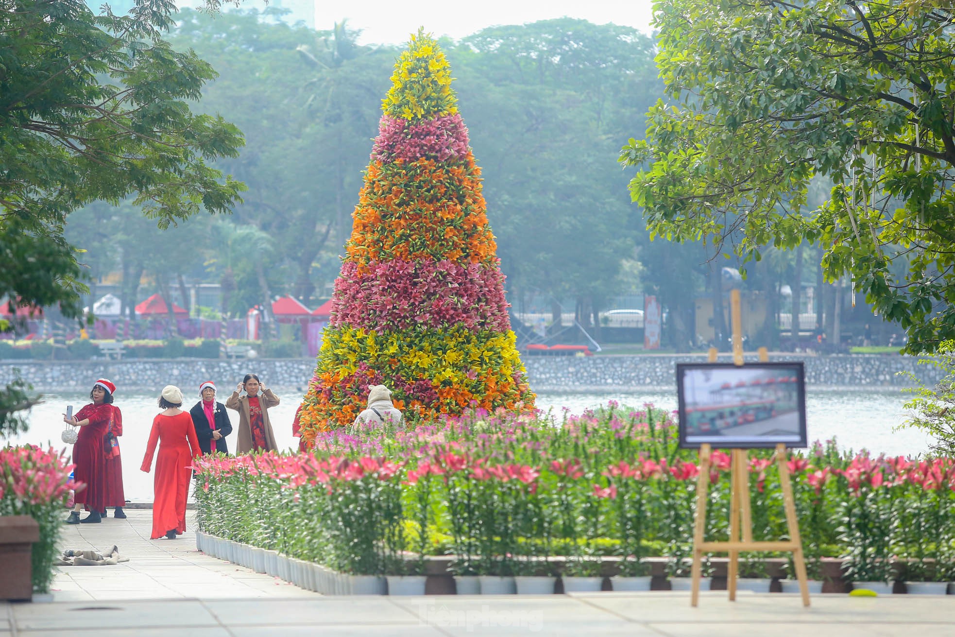 Cận cảnh cây thông Noel 'độc nhất' làm từ 2.000 cành hoa ly ở Hà Nội - Ảnh 3.