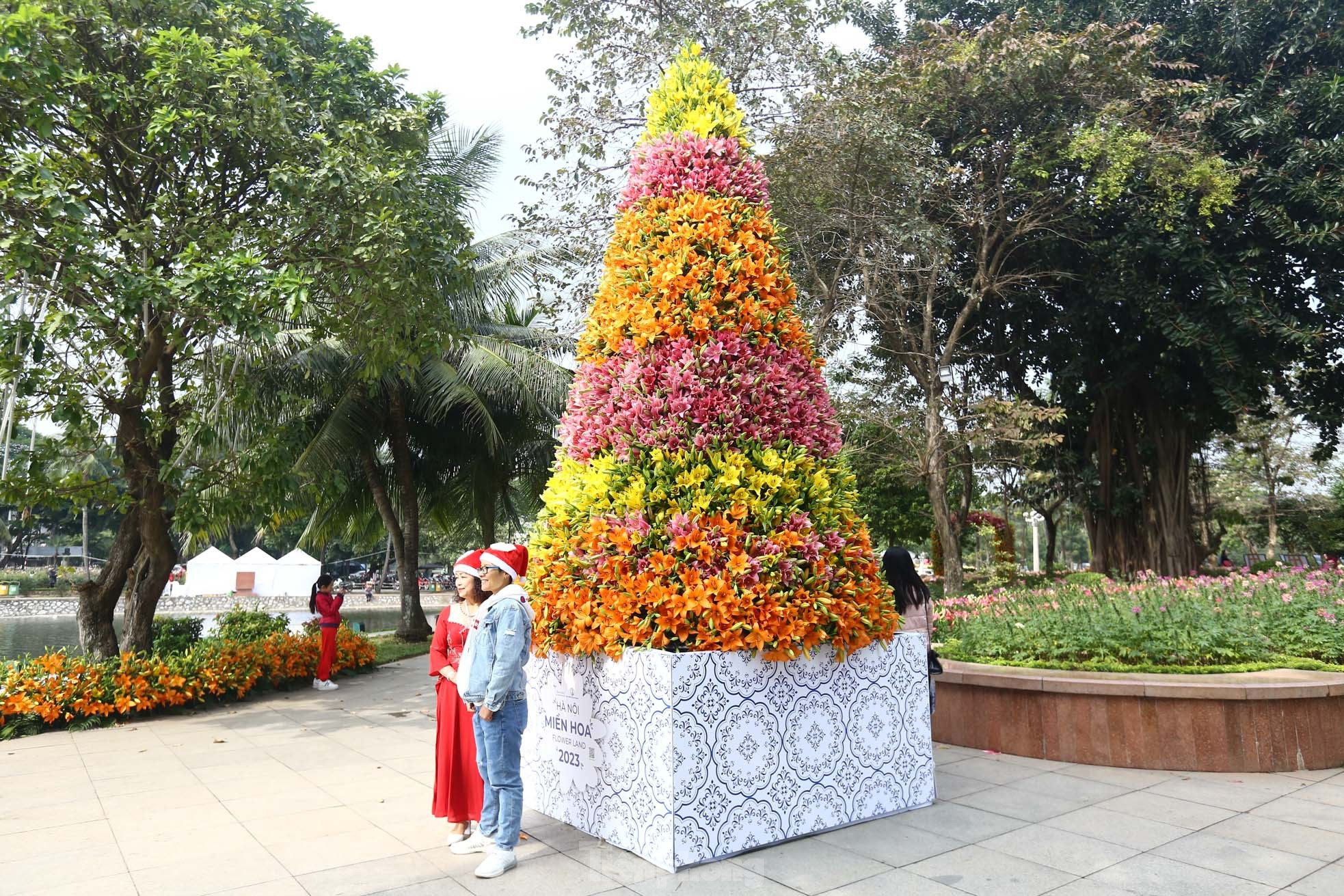 Cận cảnh cây thông Noel 'độc nhất' làm từ 2.000 cành hoa ly ở Hà Nội - Ảnh 10.