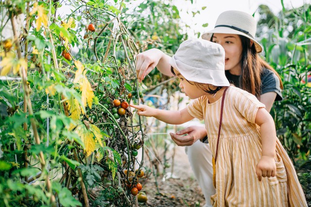 Tai hại &quot;luật đuổi rắn&quot; trong mỗi gia đình: Con cái lớn lên kém cỏi vì cha mẹ có 3 HÀNH VI - Ảnh 3.