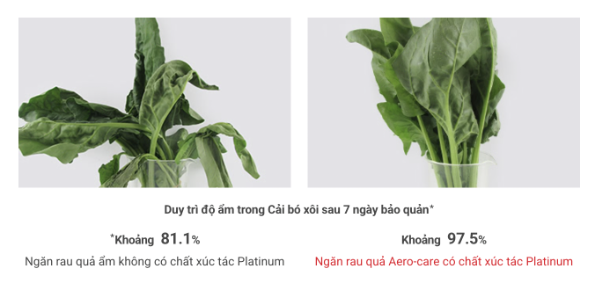 Tủ lạnh Hitachi nhập khẩu nguyên chiếc từ Nhật có gì đặc biệt? - Ảnh 5. Tủ lạnh Hitachi nhập khẩu nguyên chiếc từ Nhật có gì đặc biệt? - Ảnh 5.