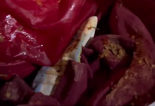 Đi c&ocirc;ng t&aacute;c về nh&agrave; muộn một tiếng, vợ bật kh&oacute;c v&igrave; h&agrave;nh động kinh khủng từ chồng - Ảnh 1.