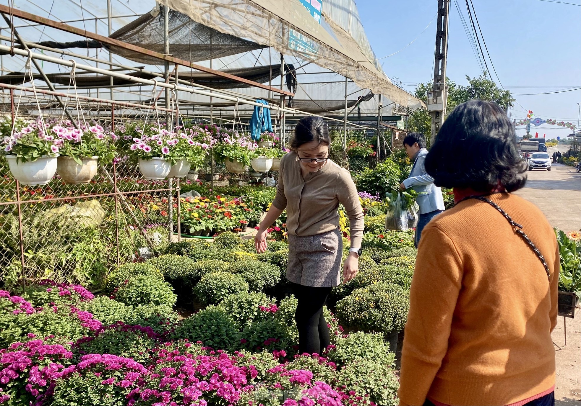 Thủ phủ hoa nổi tiếng miền Bắc rực rỡ sắc màu bước vào vụ Tết - Ảnh 9.
