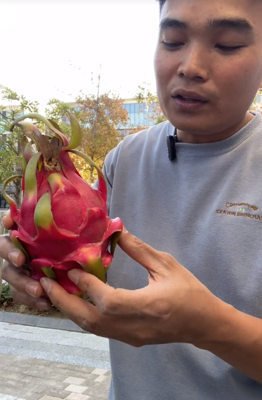 Dạo quanh một vòng xem trái thanh long bày trên kệ siêu thị nước ngoài: Giá cao ngất vì phải nhập khẩu, có nơi 315.000 VNĐ/quả - Ảnh 5.