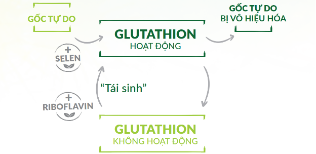 Bền gan &ndash; Bứt ph&aacute; b&iacute; quyết của những người th&agrave;nh c&ocirc;ng - Ảnh 4.