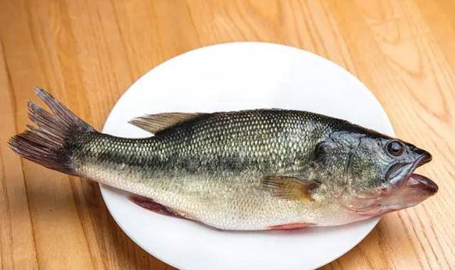 Những người am hiểu sẽ mua 3 loại cá này để làm các món cá ngon trong mùa đông vì chúng rất giàu protein và hương vị chất lượng  - Ảnh 1.