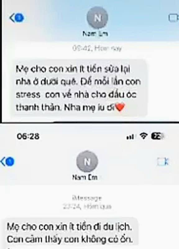 Rầm rộ tin nhắn Nam Em xin tiền mẹ nuôi, nhanh chóng đổi thái độ khi bị ngăn cấm yêu chồng sắp cưới - Ảnh 2.