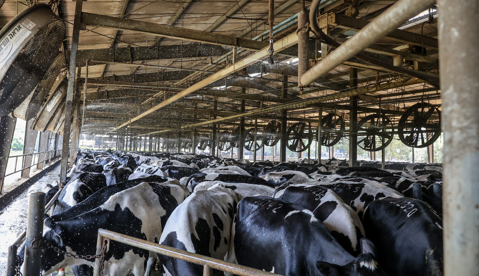 TH true MILK: Từ đồng cỏ xanh đến ly sữa sạch - Ảnh 16. TH true MILK: Từ đồng cỏ xanh đến ly sữa sạch - Ảnh 16.