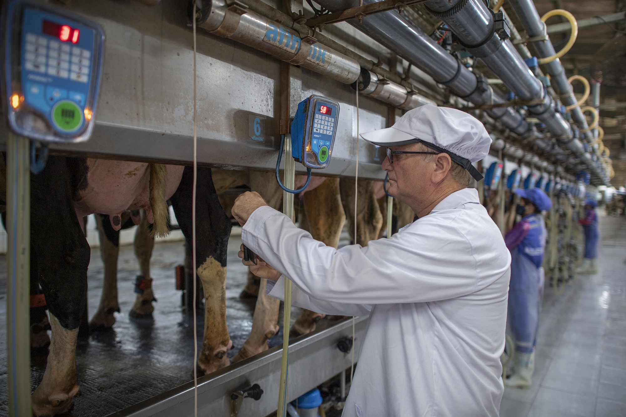 TH true MILK: Từ đồng cỏ xanh đến ly sữa sạch - Ảnh 17. TH true MILK: Từ đồng cỏ xanh đến ly sữa sạch - Ảnh 17.