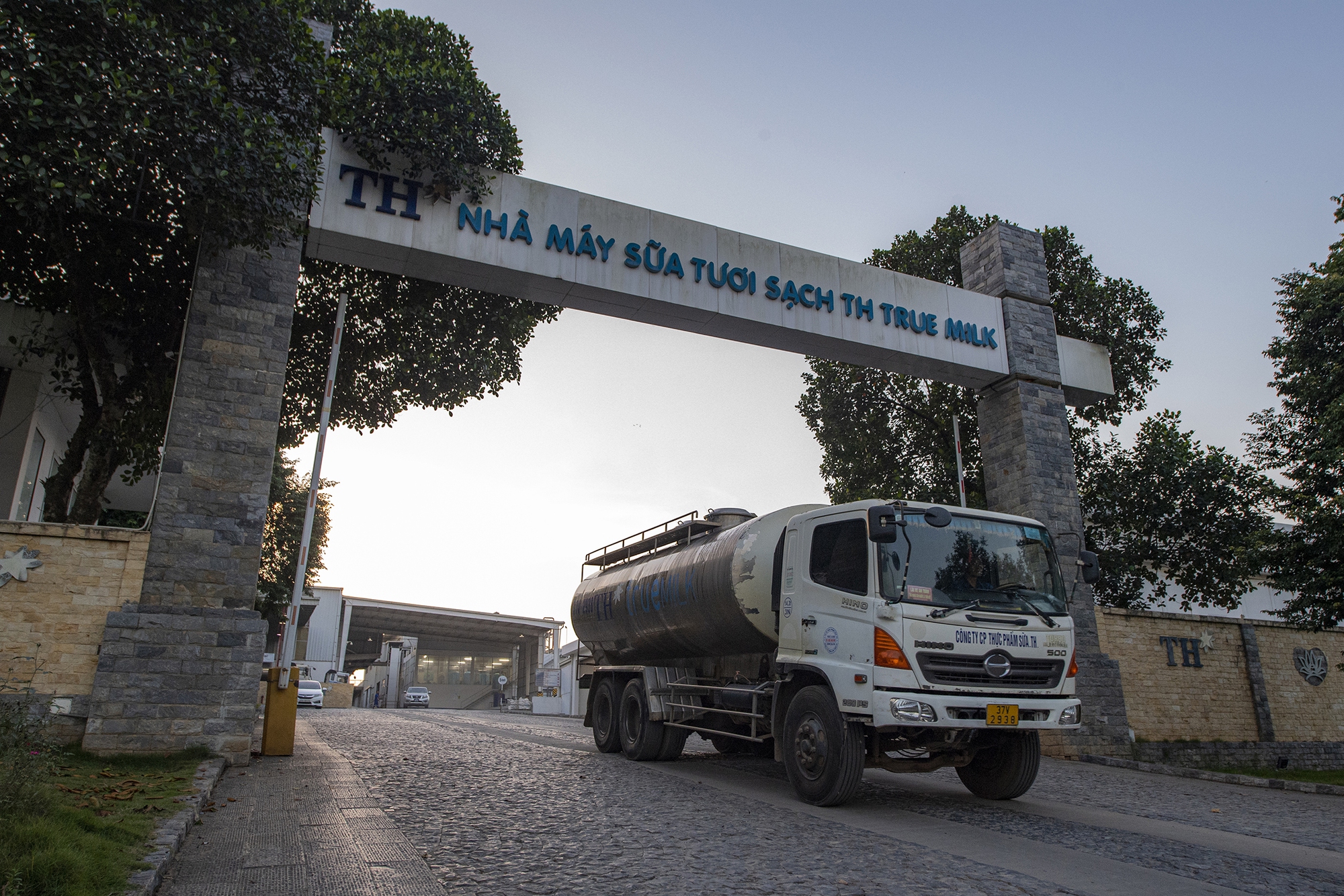 TH true MILK: Từ đồng cỏ xanh đến ly sữa sạch - Ảnh 19. TH true MILK: Từ đồng cỏ xanh đến ly sữa sạch - Ảnh 19.