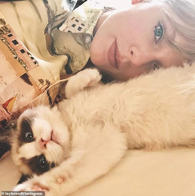 Mèo cưng mắt xanh &quot;quý hơn vàng&quot; của Taylor Swift mới xuất hiện sang trọng trên bìa tạp chí cùng chủ nhân, có giá trị ước tính 2.400 tỷ VNĐ - Ảnh 5.