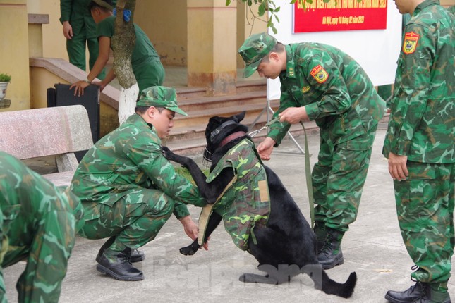Quân y, công binh, huấn luyện viên và chó nghiệp vụ Biên phòng Việt Nam sang hỗ trợ Thổ Nhĩ Kỳ - Ảnh 10.