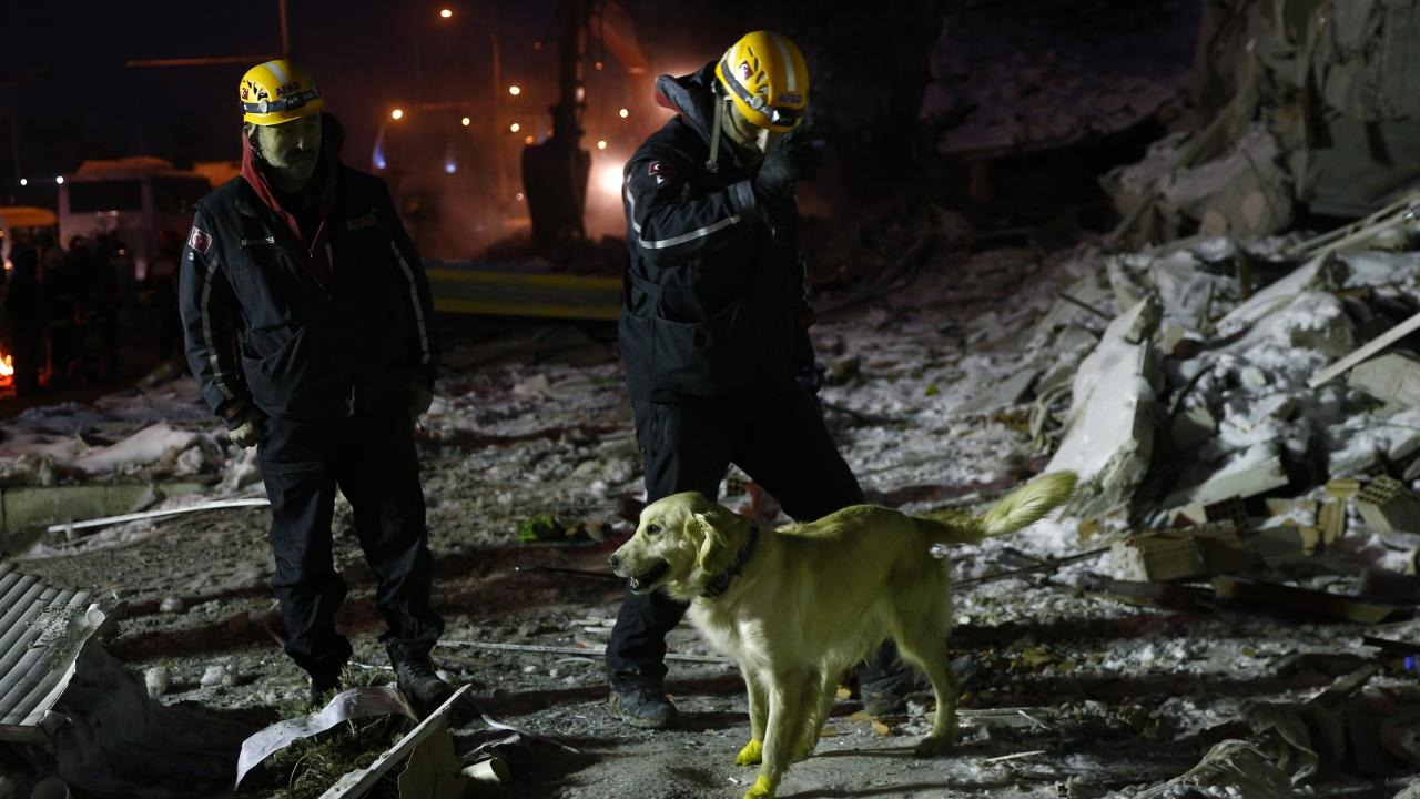 Chú chó cứu hộ khiến thế giới rơi nước mắt: Bị thương ở chân vẫn miệt mài tìm kiếm nạn nhân động đất Thổ Nhĩ Kỳ - Ảnh 7.