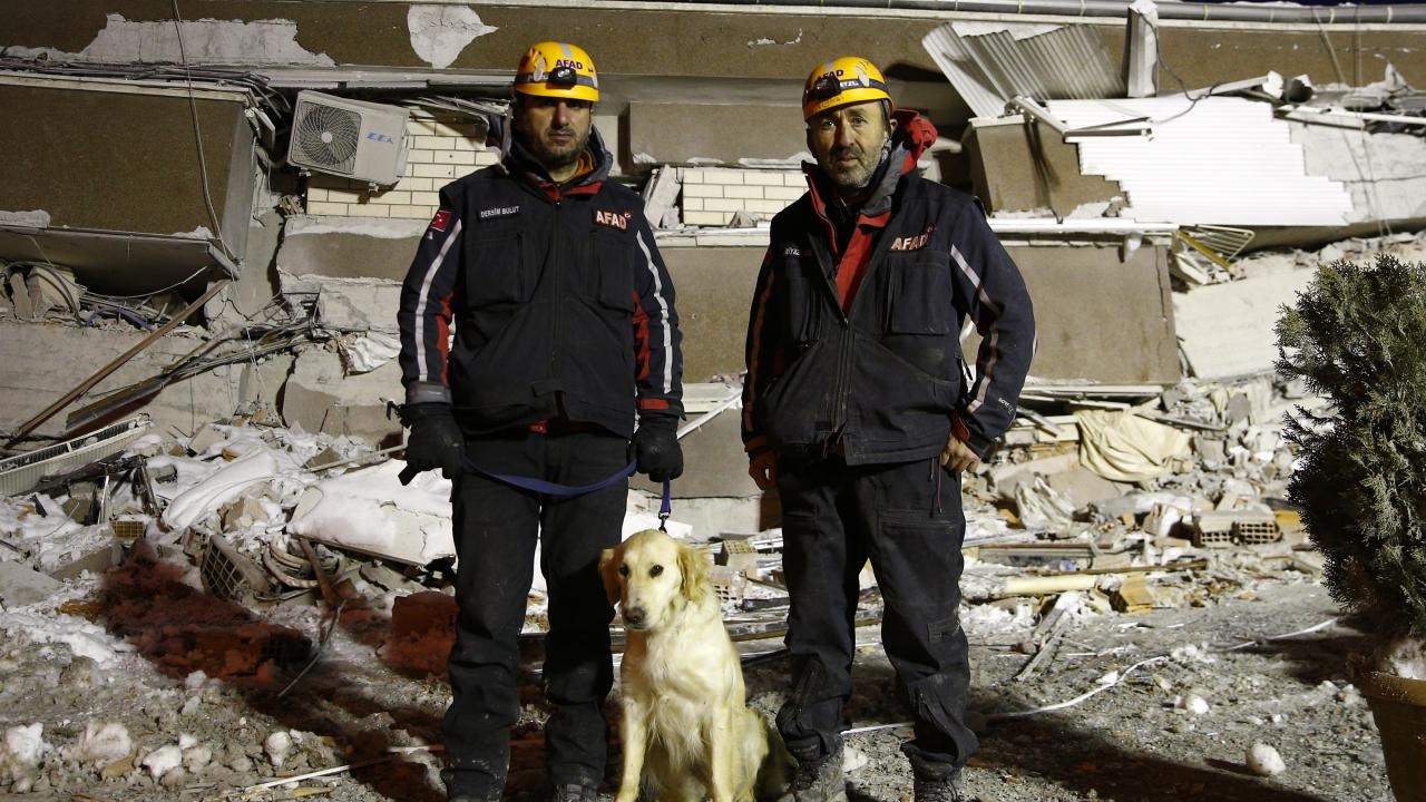 Chú chó cứu hộ khiến thế giới rơi nước mắt: Bị thương ở chân vẫn miệt mài tìm kiếm nạn nhân động đất Thổ Nhĩ Kỳ - Ảnh 8.