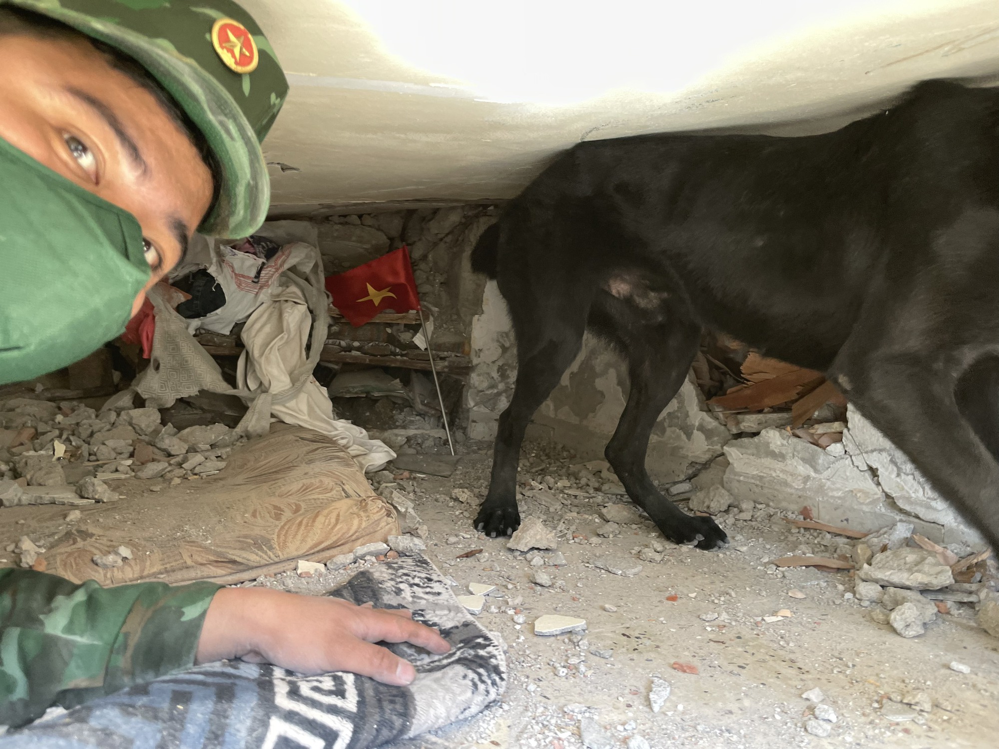 Lực lượng của Quân đội Nhân dân Việt Nam đưa chó nghiệp vụ đến nơi thiệt hại nặng nề nhất Thổ Nhĩ Kỳ - Ảnh 1.