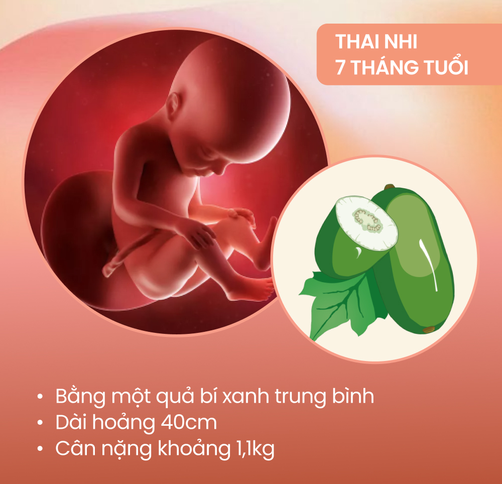 Sự phát triển của thai nhi theo từng tháng kỳ diệu thế nào?  - Ảnh 7.