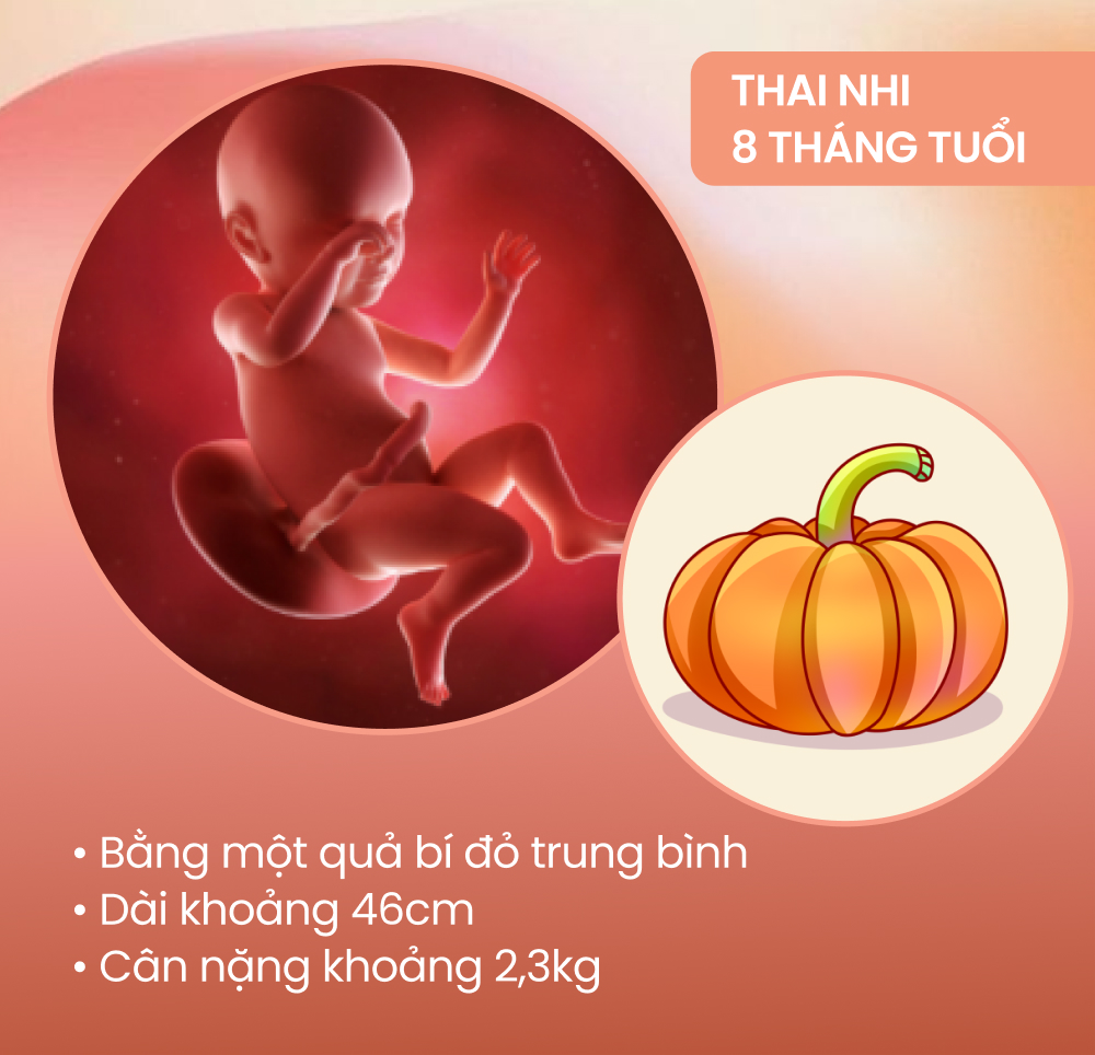 Sự phát triển của thai nhi theo từng tháng kỳ diệu thế nào?  - Ảnh 8.