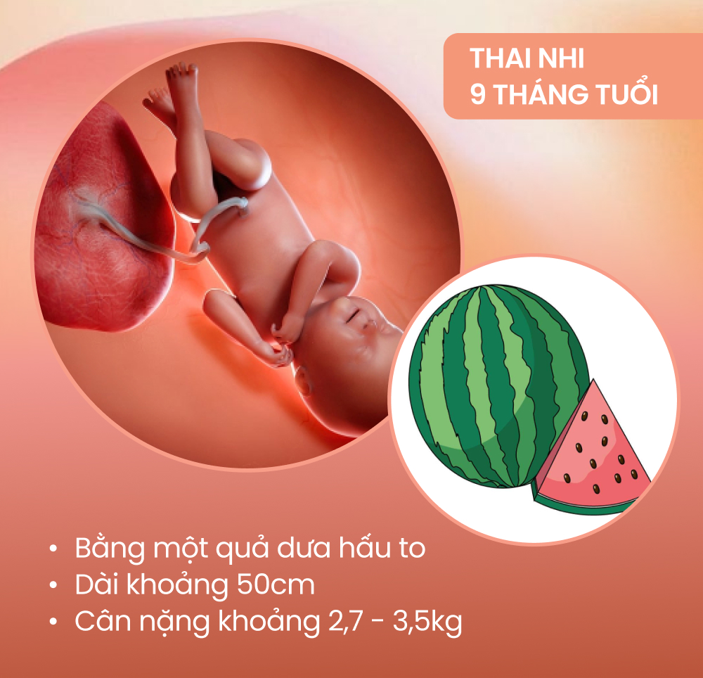 Sự phát triển của thai nhi theo từng tháng kỳ diệu thế nào?  - Ảnh 9.