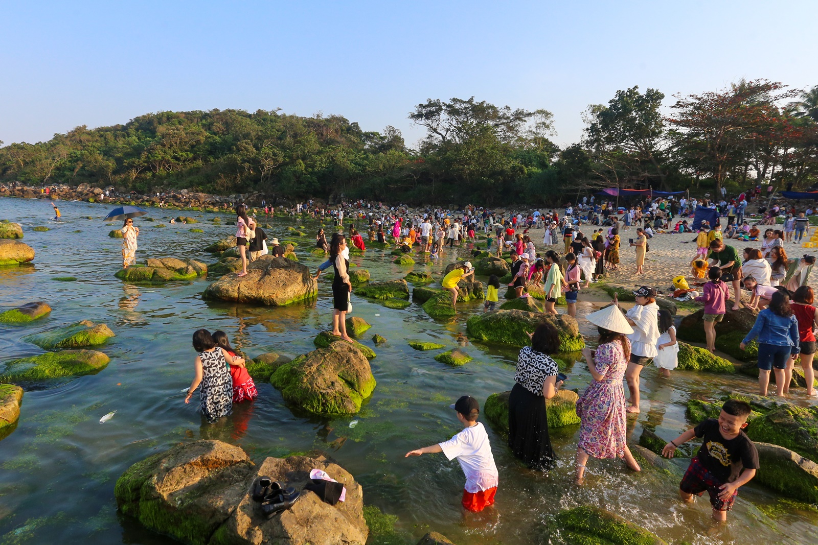 Ảnh: Chen chân chụp ảnh bãi rêu tuyệt đẹp ven biển Đà Nẵng - Ảnh 20.
