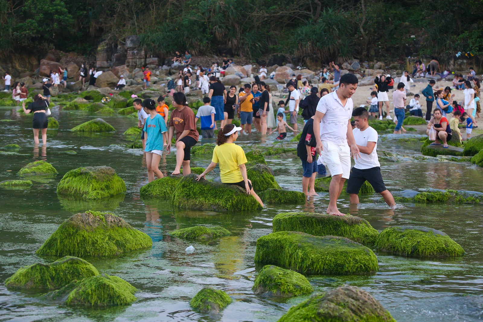 Ảnh: Chen chân chụp ảnh bãi rêu tuyệt đẹp ven biển Đà Nẵng - Ảnh 16.