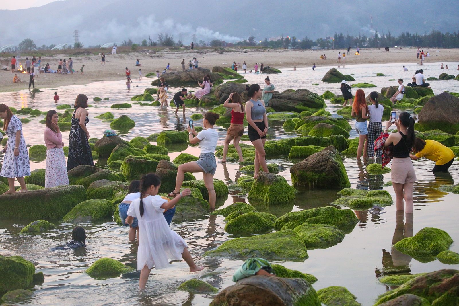Ảnh: Chen chân chụp ảnh bãi rêu tuyệt đẹp ven biển Đà Nẵng - Ảnh 11.