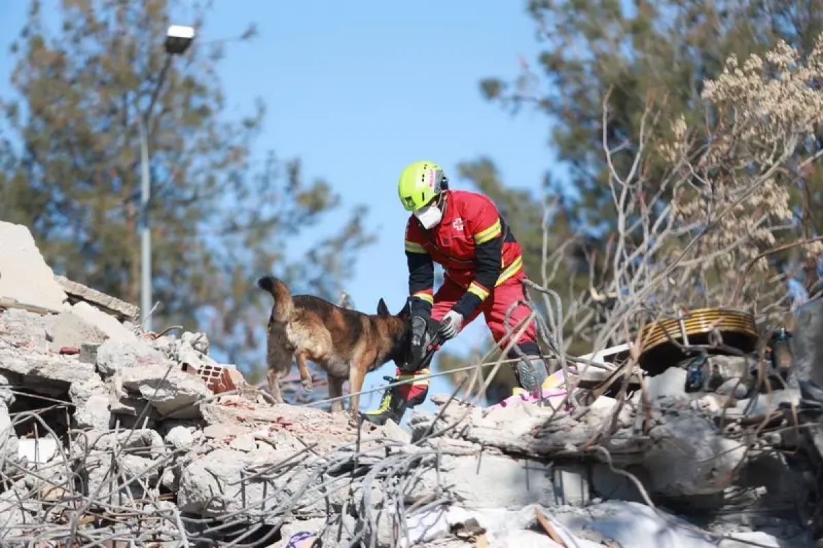 Hình ảnh &quot;nhân viên cứu hộ đặc biệt&quot; xử lý hậu quả động đất ở Thổ Nhĩ Kỳ và Syria - Ảnh 4.