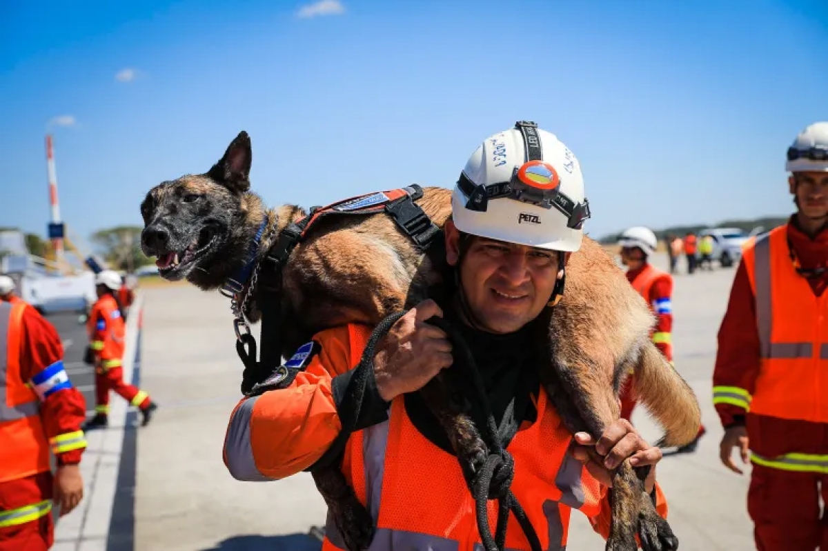 Hình ảnh &quot;nhân viên cứu hộ đặc biệt&quot; xử lý hậu quả động đất ở Thổ Nhĩ Kỳ và Syria - Ảnh 5.
