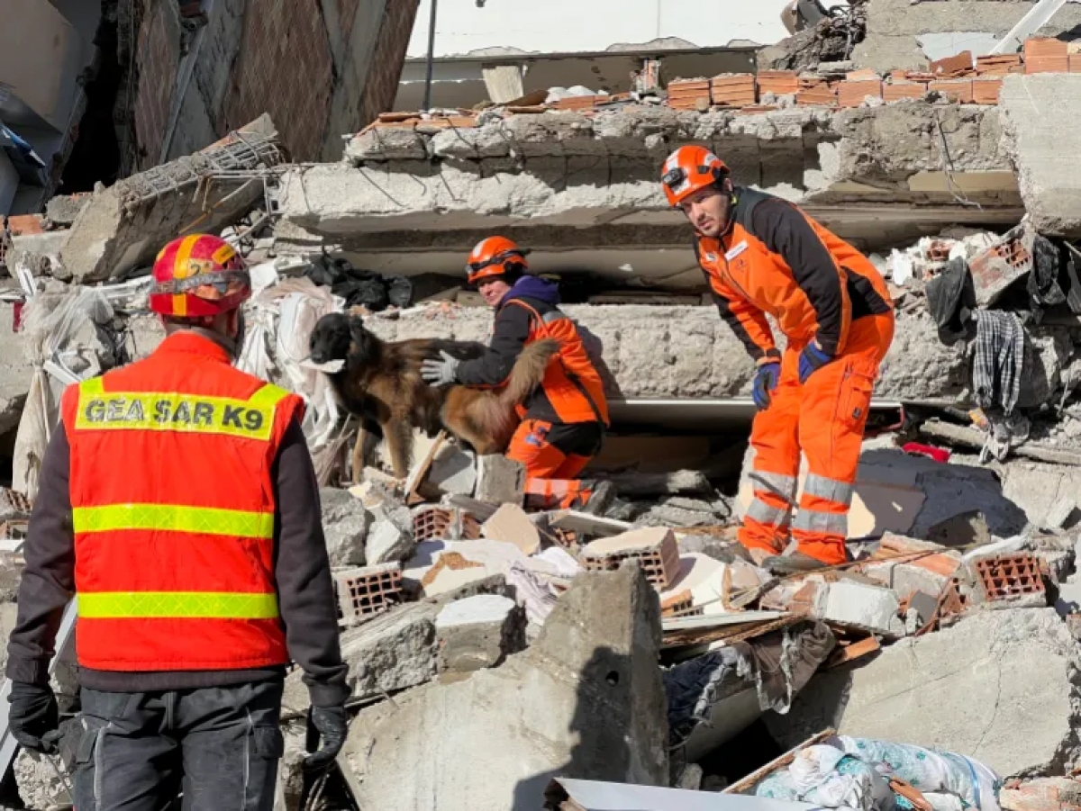 Hình ảnh &quot;nhân viên cứu hộ đặc biệt&quot; xử lý hậu quả động đất ở Thổ Nhĩ Kỳ và Syria - Ảnh 8.