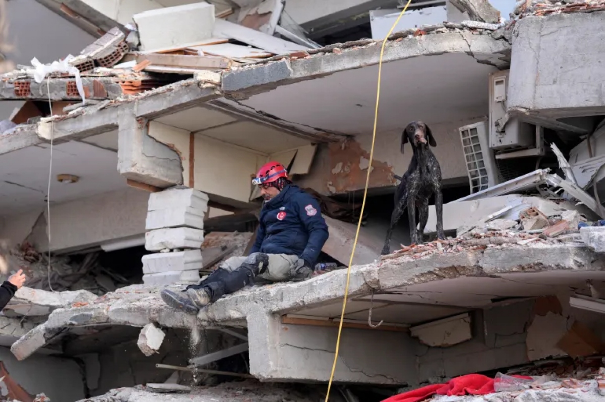 Hình ảnh &quot;nhân viên cứu hộ đặc biệt&quot; xử lý hậu quả động đất ở Thổ Nhĩ Kỳ và Syria - Ảnh 9.