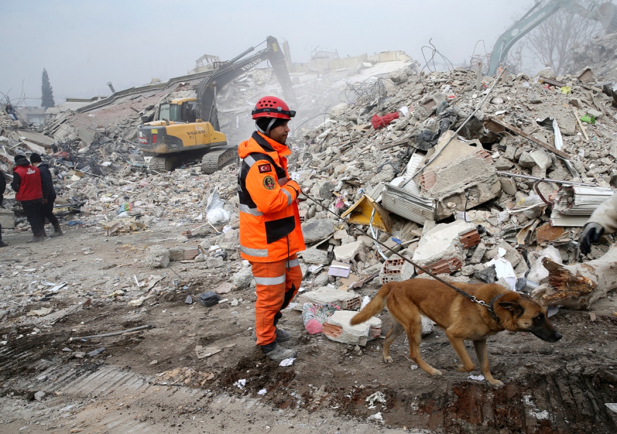 Hình ảnh &quot;nhân viên cứu hộ đặc biệt&quot; xử lý hậu quả động đất ở Thổ Nhĩ Kỳ và Syria - Ảnh 11.
