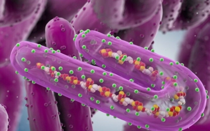 WHO lo ngại dịch Ebola lan rộng tại CHDC Congo - Ảnh 2.