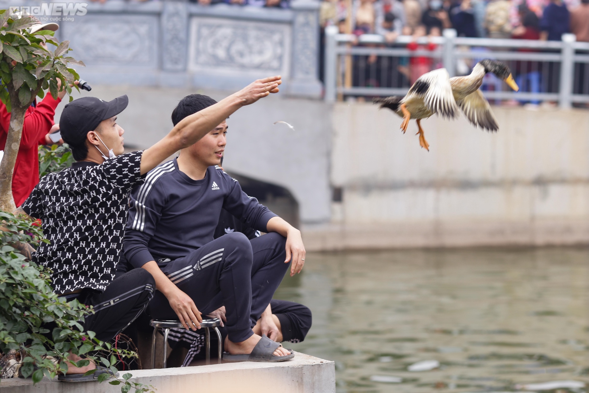 Hà Nội: Thanh niên đằm mình trong nước lạnh vây bắt vịt tại lễ hội xuân Lại Yên - Ảnh 3.