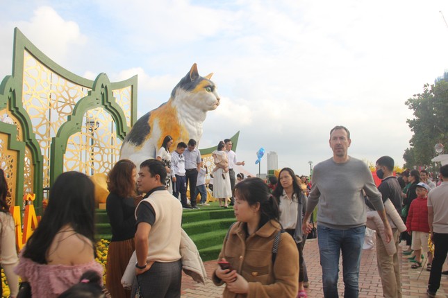 Đà Nẵng tặng linh vật mèo cho các trường mầm non vùng xa - Ảnh 1.