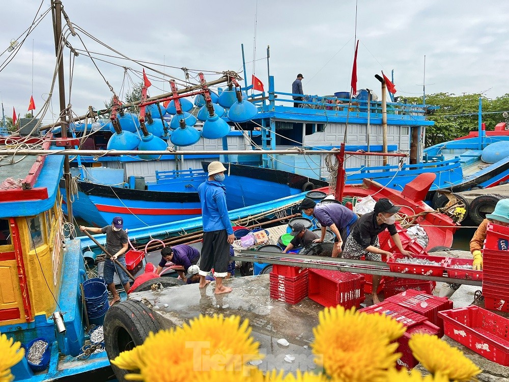 Một đêm ra khơi ngư dân Quảng Ngãi sắm được... 1 chỉ vàng - Ảnh 5.